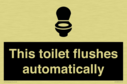 this-toilet-flushes-automatically~